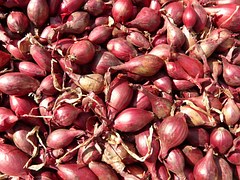 red-shallots-5768__180